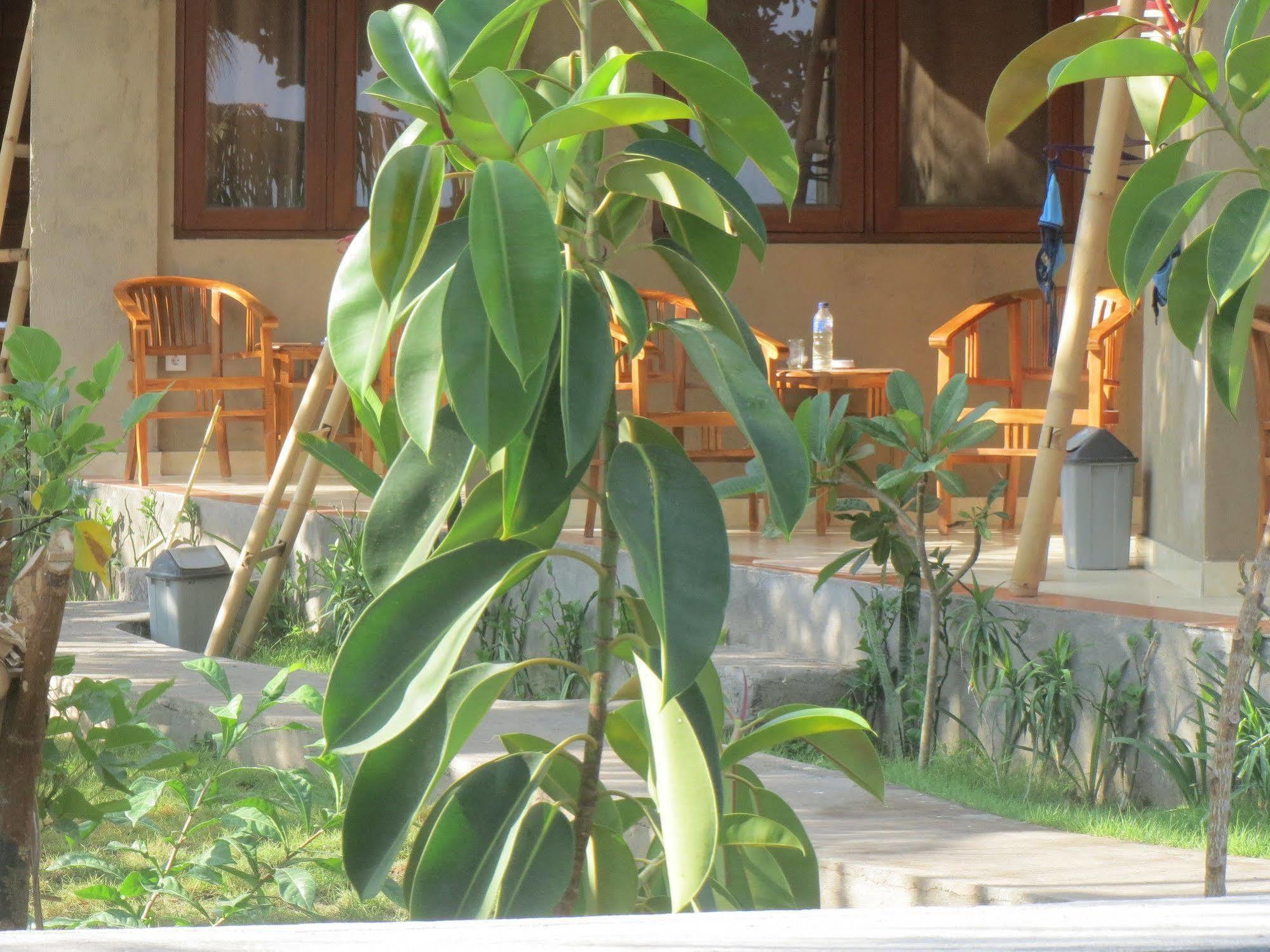 Amed Sari Beach Guesthouse Luaran gambar