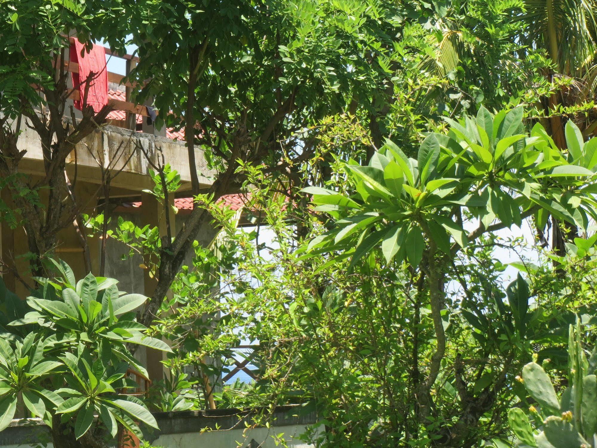 Amed Sari Beach Guesthouse Luaran gambar