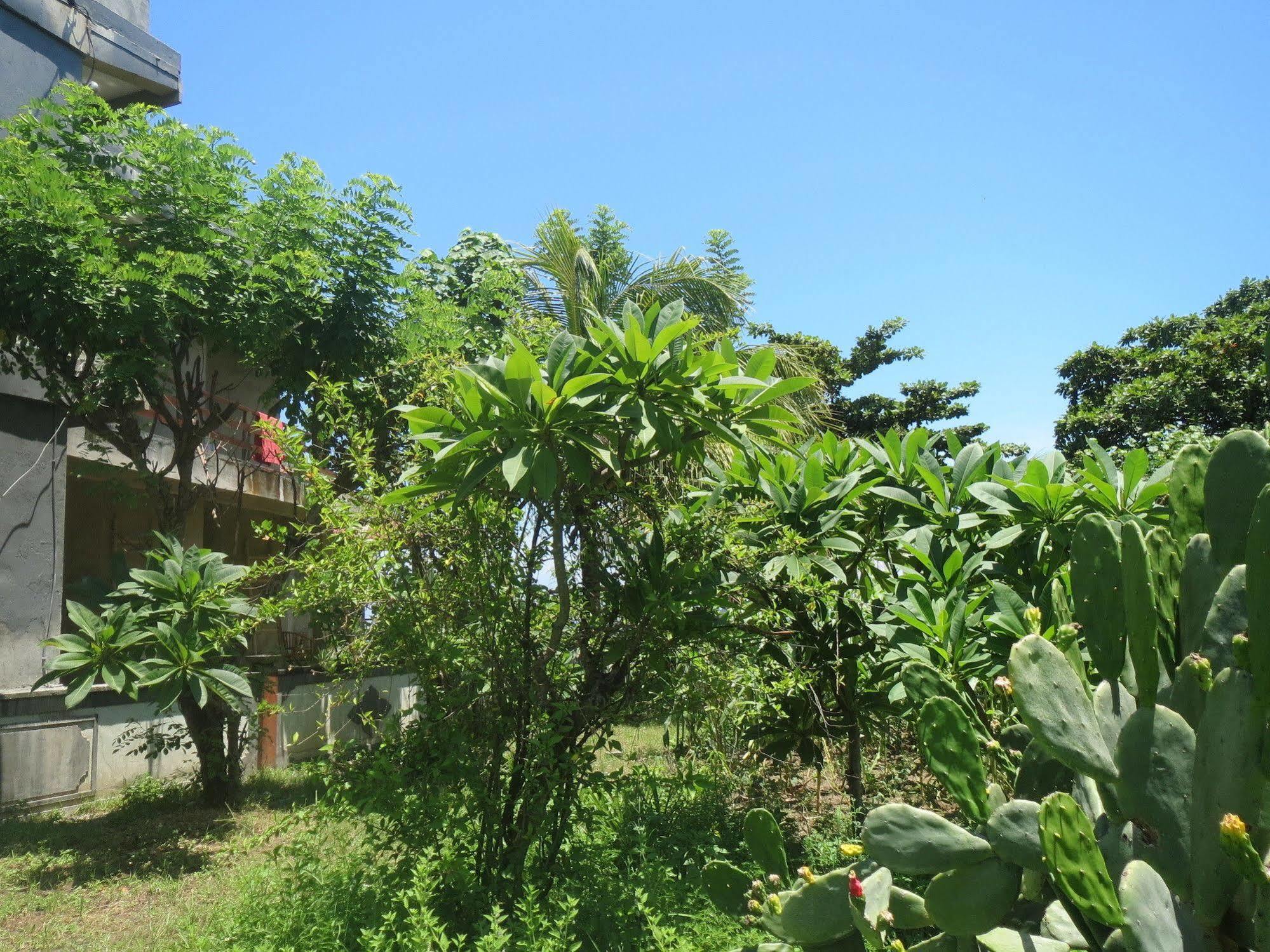 Amed Sari Beach Guesthouse Luaran gambar